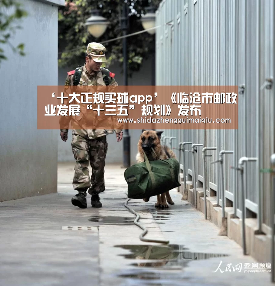 十大正规买球app官网