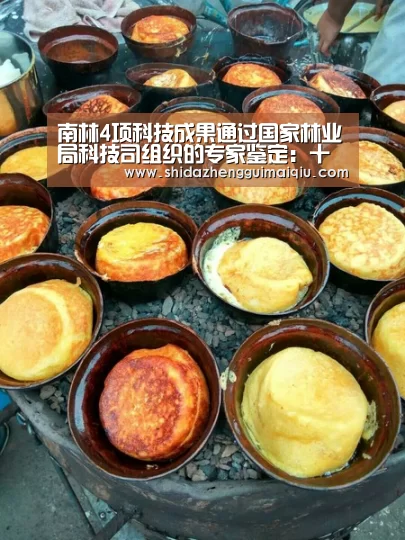 南林4项科技成果通过国家林业局科技司组织的专家鉴定:十大正规买球app官网(图3) 买球app官网