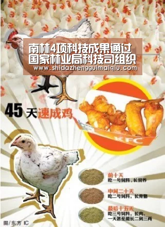 南林4项科技成果通过国家林业局科技司组织的专家鉴定:十大正规买球app官网(图4) 买球app官网