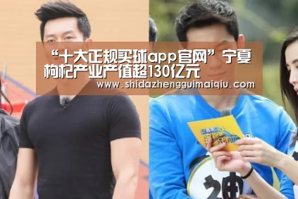 “十大正规买球app官网”宁夏枸杞产业产值超130亿元(图1) 买球app官网